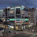 로저스나인 네이버블로그