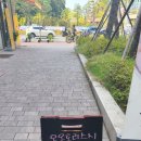 오오토리스시 이미지