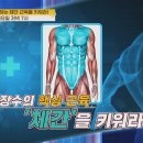 수명을 좌우하는 체간 근육을 키워라! [내 몸 사용설명서] 이미지