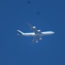 예쁜커피나무 이미지