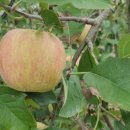 진선농장 이미지