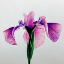 색연필/펜 드로잉 이미지