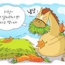 라포티