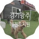 놀러오개 애견유치원 애견호텔 기흥점 | 경기 광주 놀러오개 애견유치원 애견호텔 송정점, 김구찌 견생 첫 유치원 등원