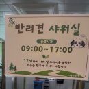 완주군 반려동물 놀이터 | 천안 투구봉 반려동물 놀이터