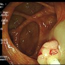 365편한내과의원 이미지