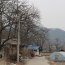 조룡천 이미지