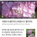 숲나루공원 이미지