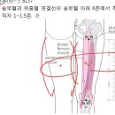 16-3.족태양방광경3 조회수 6.7천회 6년 전 이미지