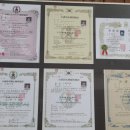몸바른힐링센타 이미지