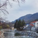 무주펜션 꿈꾸는 나무별 이미지