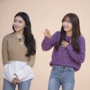 돼지띠 이미지
