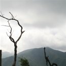 설천면102 이미지