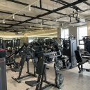 빽짐헬스 이미지