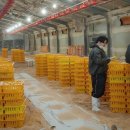 쾌청농장 이미지