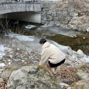 다시오다스테이 이미지