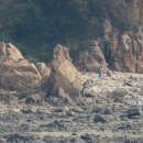 선녀바위-쉼터 이미지