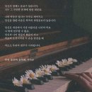오빠돼지 이미지