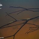 물속풍경 이미지