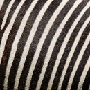 김수철골프클럽 이미지