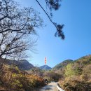 경남 고성군 거류산(572m)은 화랑을 품었고.. 화랑은 내일의 새로운 비전을 꿈꾸었다~.. 이미지