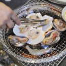 조개몽땅 이미지