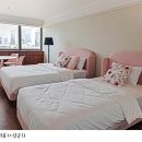 글로카로카 이미지