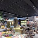 에코랜드 골프호텔 | 신비로운 숲 곶자왈 속 넓은 수영장과 고즈넉한 호수를 가지고 있는 에코랜드 호텔 월 스위트룸 숙박 후기