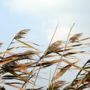 해강냉장 이미지