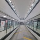 아브뉴프랑 옐로우 이미지