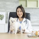라온 반려 동물병원 이미지