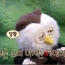 딩동댕 이미지