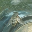 달리는철가방 이미지