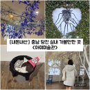 대산미술관 | [충남/당진] 충남 당진 여행 실내 가볼만한 곳 "아미미술관" 내돈내산 솔직후기