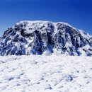 안중근의사유묵(天與不受反受其殃耳) 이미지