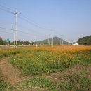 원전 약수터 이미지