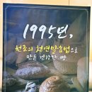 왜관 비소 제6호 | 서울 제과명장 김영모 과자점 도곡타워점 방문 후기