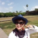 차와 함께 세계여행 이미지