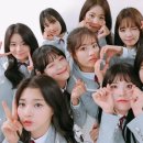 프롬들 이미지