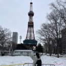 삿포로 3박 4일 여행. Day3. 오도리공원, 바리스타트커피, 맥주박물관, 조잔케이 하나모미지