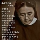 이레네 이미지