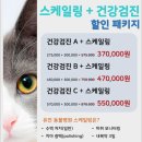 세종동물병원 이미지