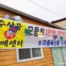 수산물회도매센타 네이버블로그