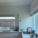 폴레폴레 이미지