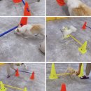 라이프 오브 라일리(Life of Riley) 이미지