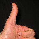 썸(Thumb) 이미지