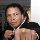 참피온복싱 이미지