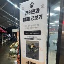 [고양/일산] 비비큐플레이스 실내캠핑식당 내돈내산 솔직 후기