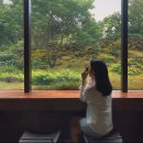 스튜디오콩테 | 스튜디오 콩테 24년 하반기플랜테리어 취창업반 수업설명회 참여 후기