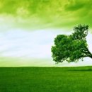 눈편안세상 이미지